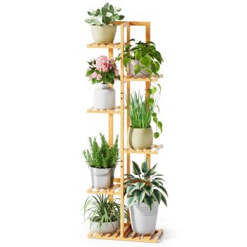 Plant Stand Indoor