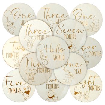 Winnie Baby Monthly Milestone Marker Discs Baby Announcement Sign Newborn Sign For Photo Prop Baby Shower Nursery Gift（16PCS）