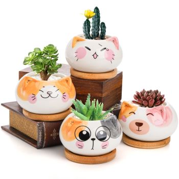 4 Pack Succulent Planter Pot