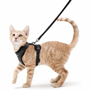 Cat Harness and Leash for Walking