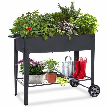 Raised Planter Box