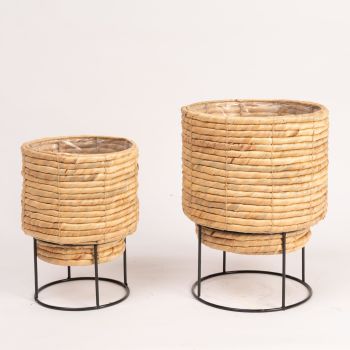 Set of 2 Water Hyacinth Planter Pot