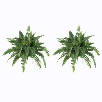 40in. Boston Fern (Set of 2), Green