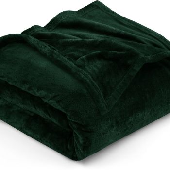 Fleece Blanket Queen Size Forest Green 300GSM Luxury Bed Blanket Anti-Static Fuzzy Soft Blanket Microfiber (90x90 Inches)