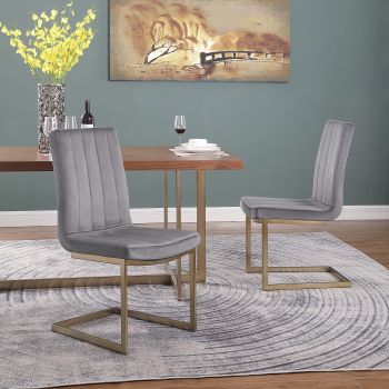 WOKER Furniture Dining Chairs Gold Legs Modern Set of 2,Velvet Solid Back Chairs Metal Legs Armless Side Chairs for Living Room Dining Room