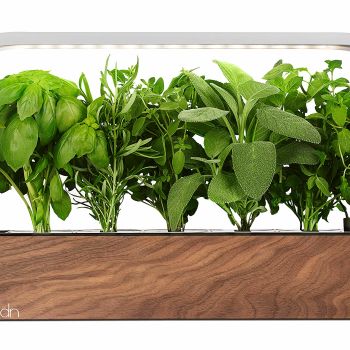 edn SmallGarden