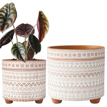 Set of 2 Terracotta Planter Pots