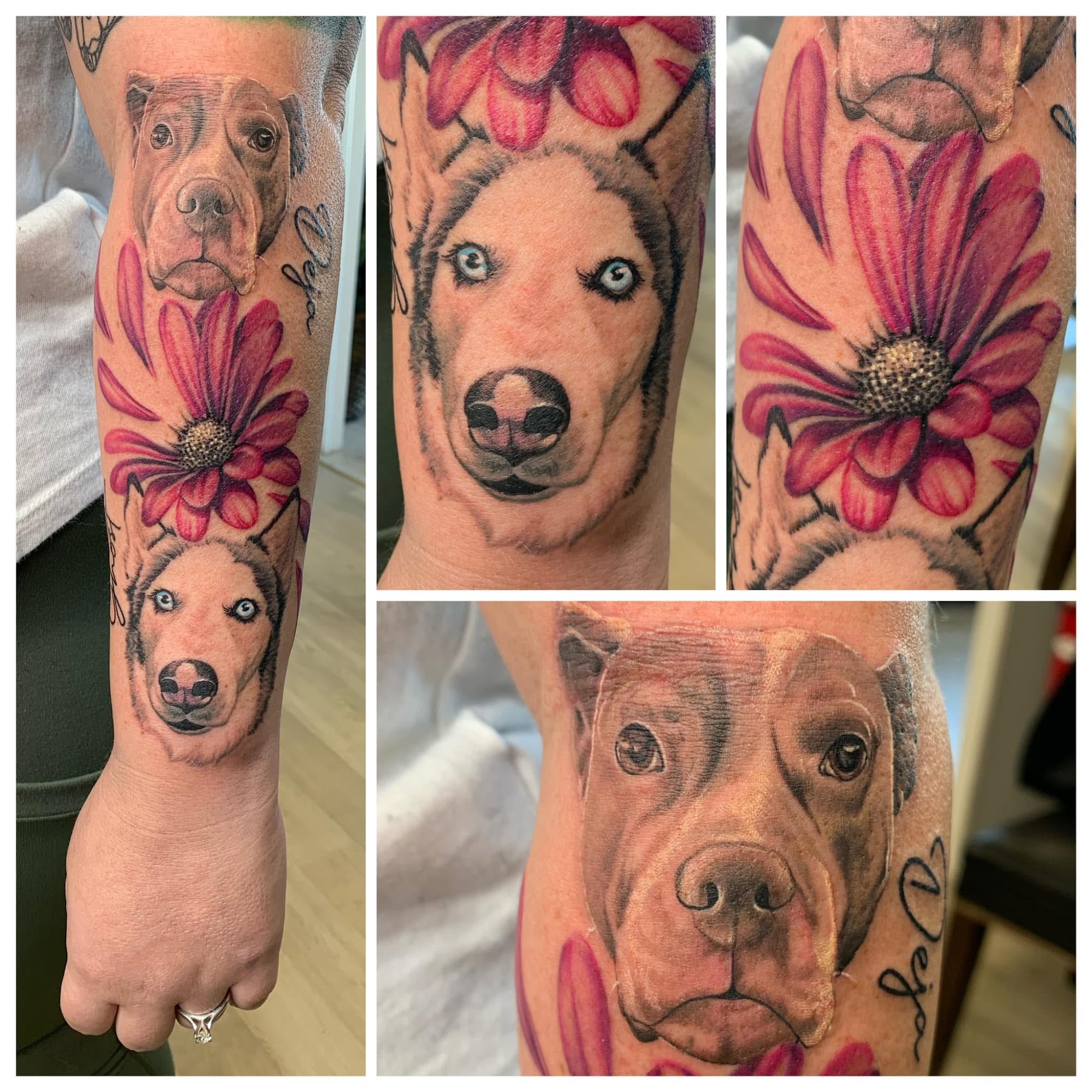 Dog Portrait with Flower