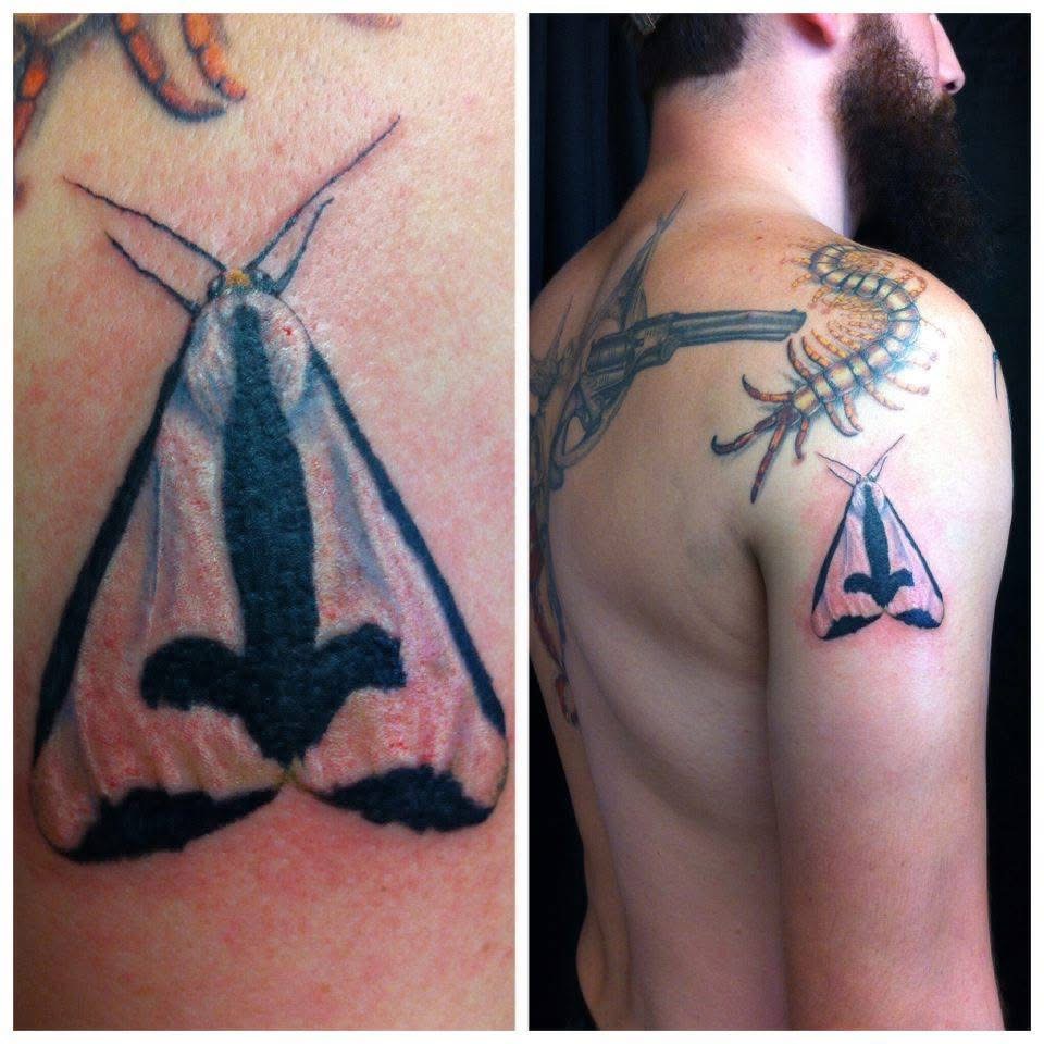 Clymene Moth Tattoo – Insects | The Raven’s Nest Emporium