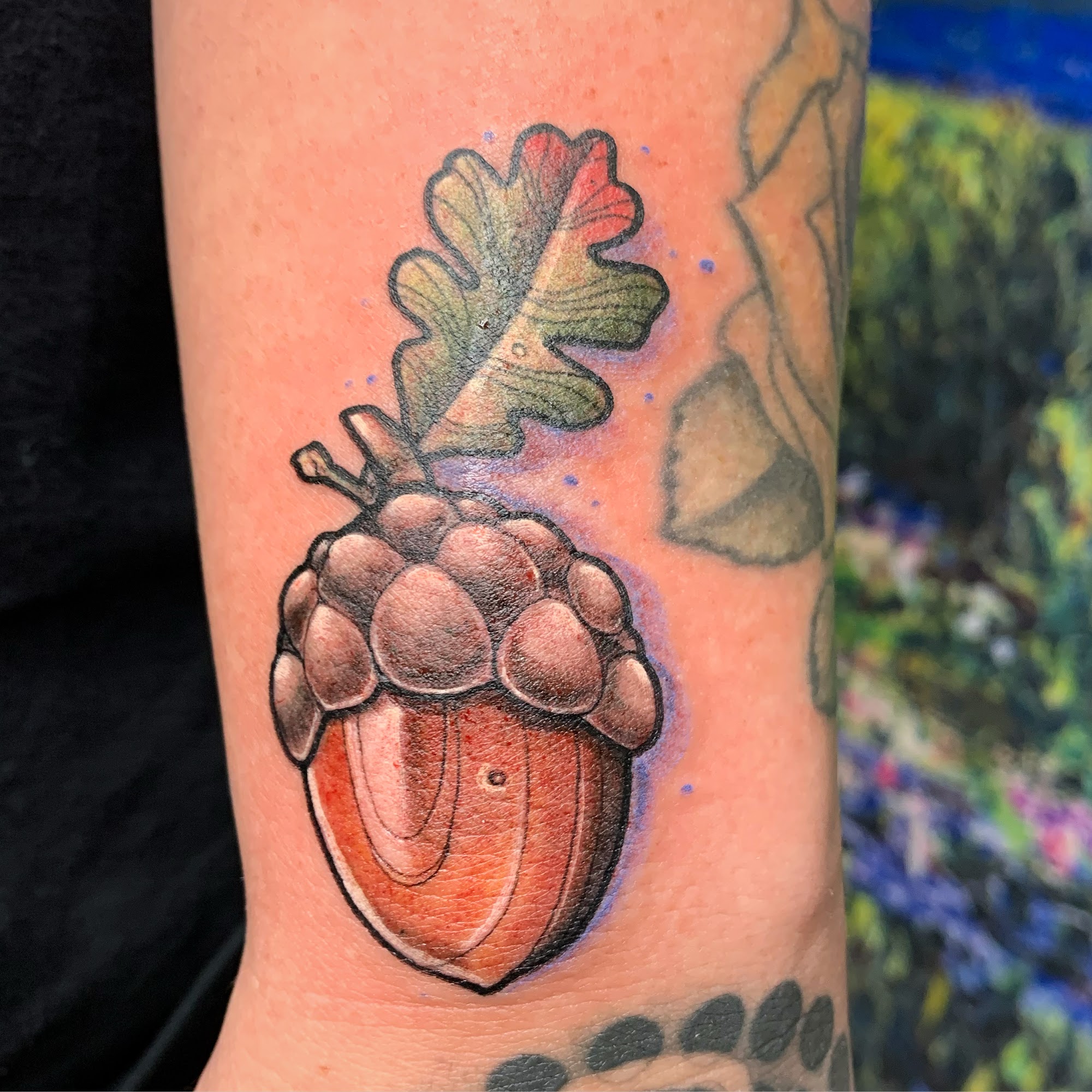 Acorn Tattoo – Miscellaneous | The Raven’s Nest Emporium