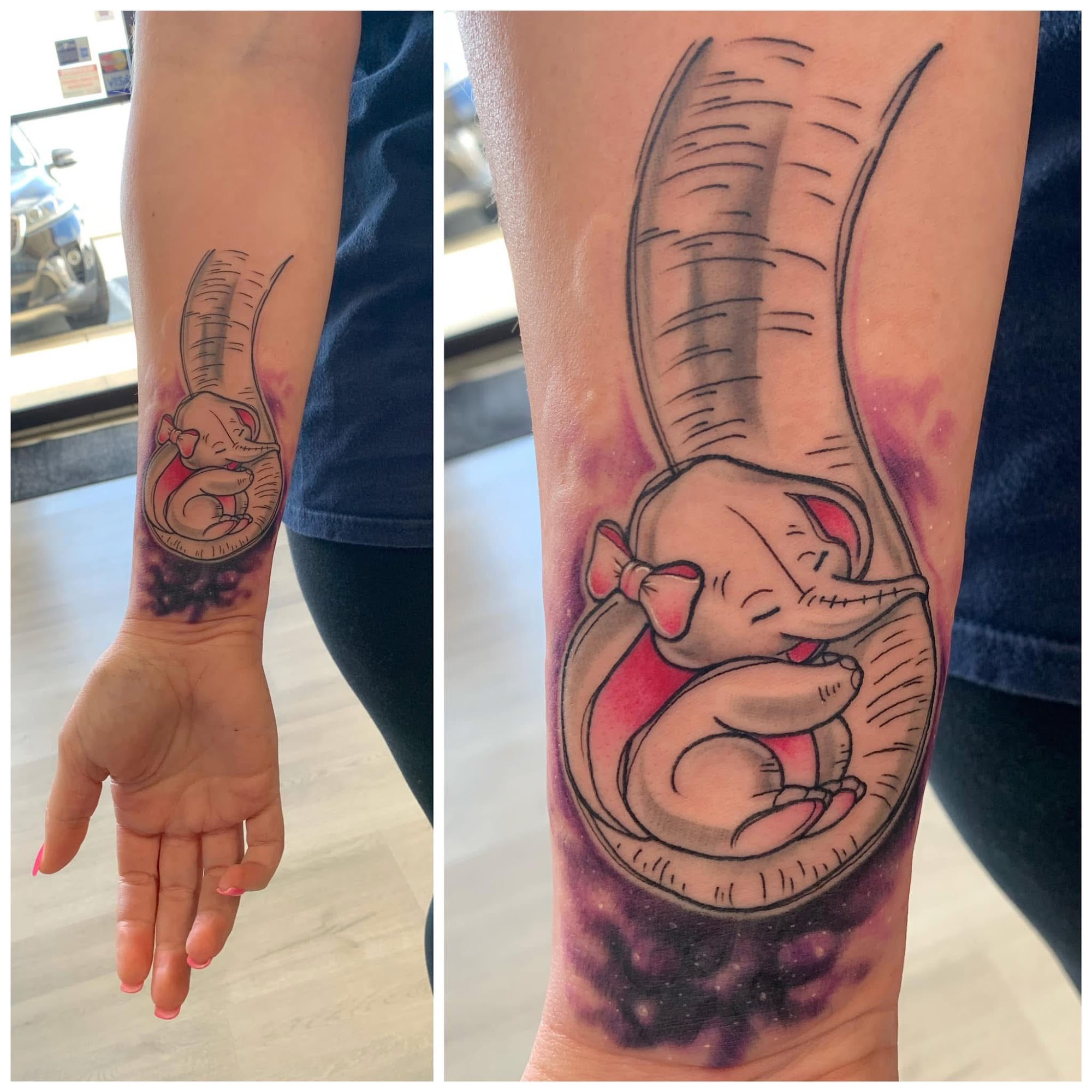 Baby Elephant  Animals