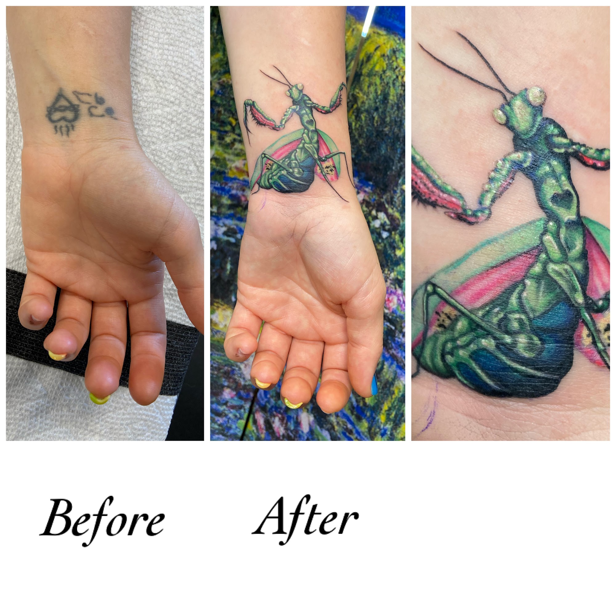 Praying Mantis Coverup