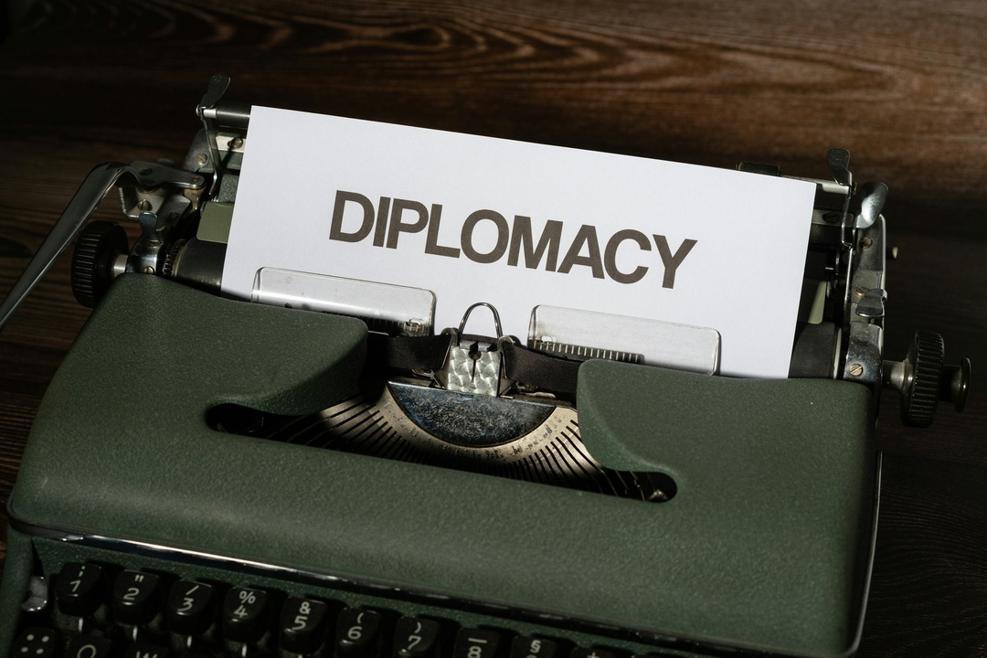 Institute of Diplomacy and International Studies