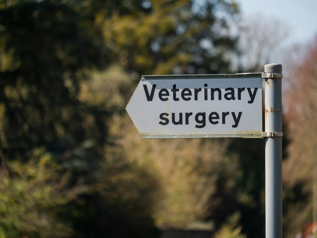 Veterinary Medicine Chapter