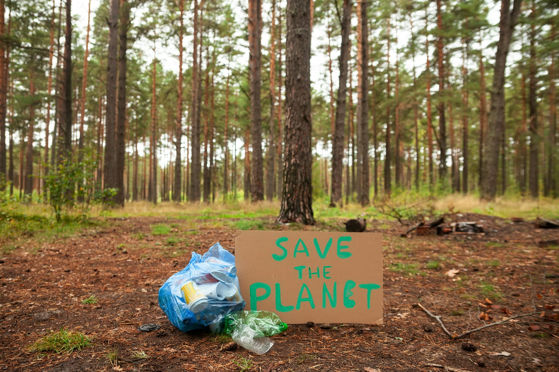 Environmental Stewardship