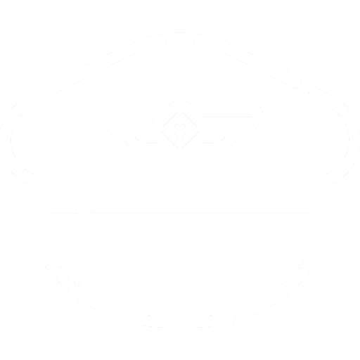 Aviation Industry