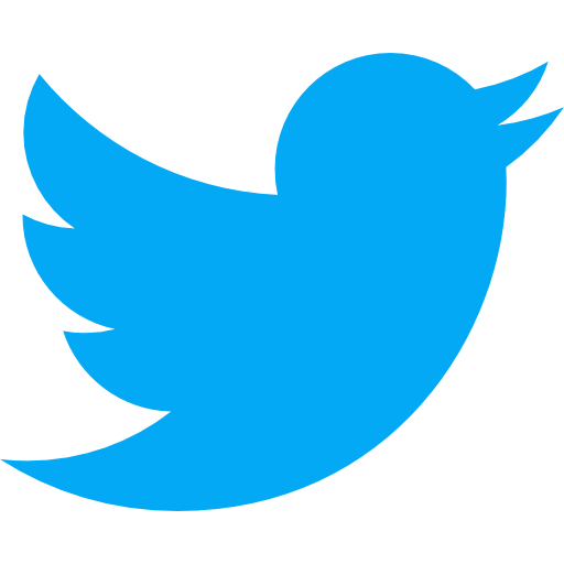 Blue twitter bird outline logo