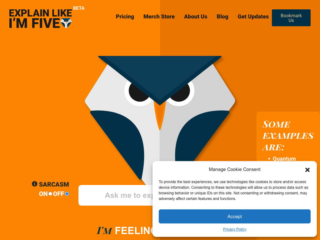 Screenshot of simplified learning website