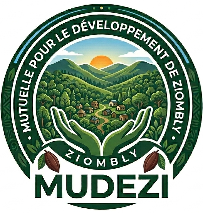 Logo COLLEGE MODERNE OULAI 2