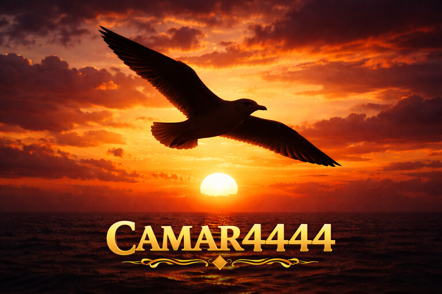 CAMAR4444