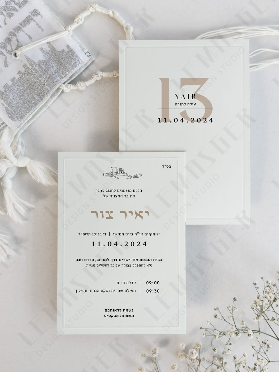 דגם יאיר צור