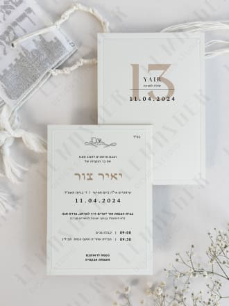 דגם יאיר צור