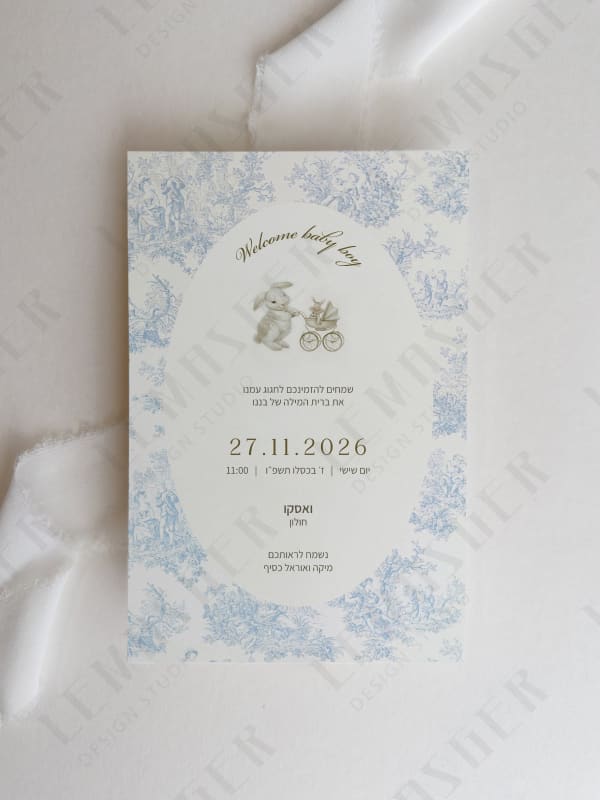 דגם ארנב כחול 1