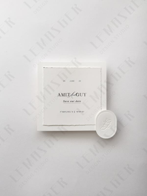 דגם עמית וגיא 1