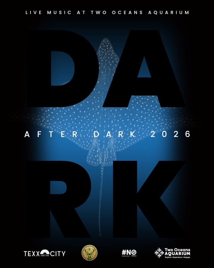 After Dark at Two Oceans Aquarium: Soft Culture as Premium Nightlife