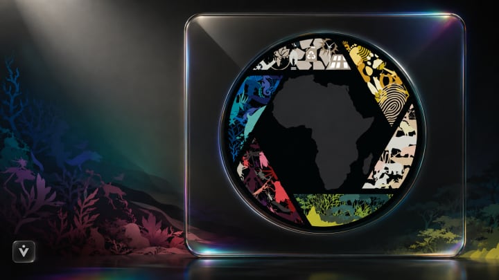 Dismantling the External Gaze: How NEWF Is Putting Africans Behind the Wildlife Camera