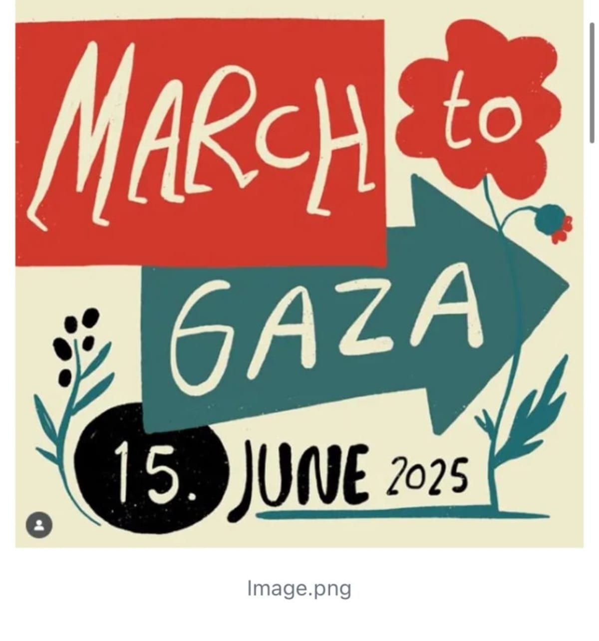 March to Gaza. From Cairo to the Rafah crossing. Begin on June 13 