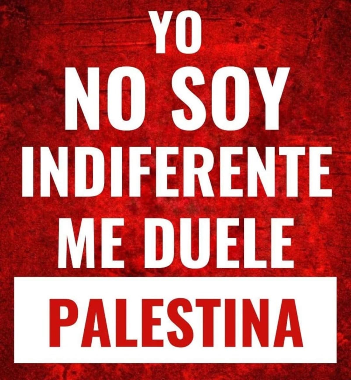 Me duele Palestina