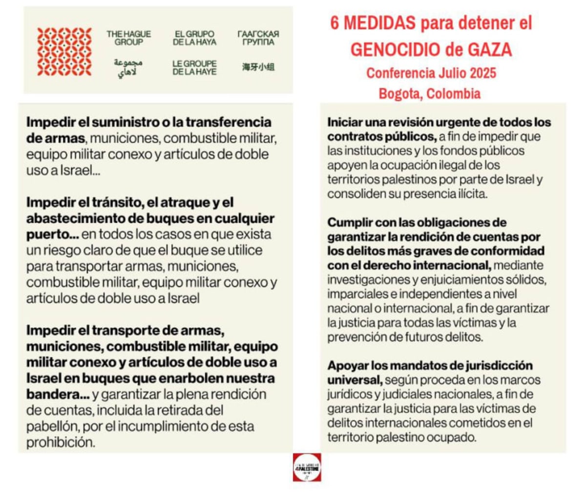 Grupo de la Haya. 6 medidas para frenar a Israel y el genocidio en Gaza. Bolivia, Colombia, Cuba, Indonesia, Irak, Libia, Malasia, Namibia, Nicaragua, Omán, San Vicente y las Granadinas y Sudáfrica