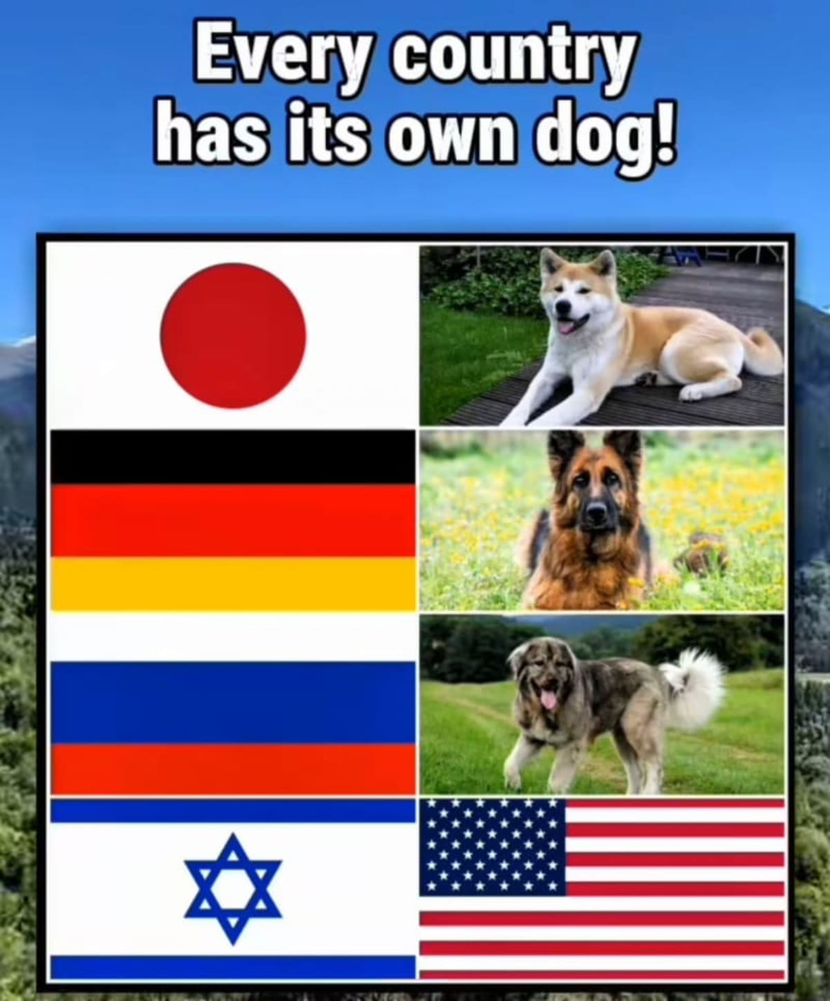 Cada país tiene su propio perro