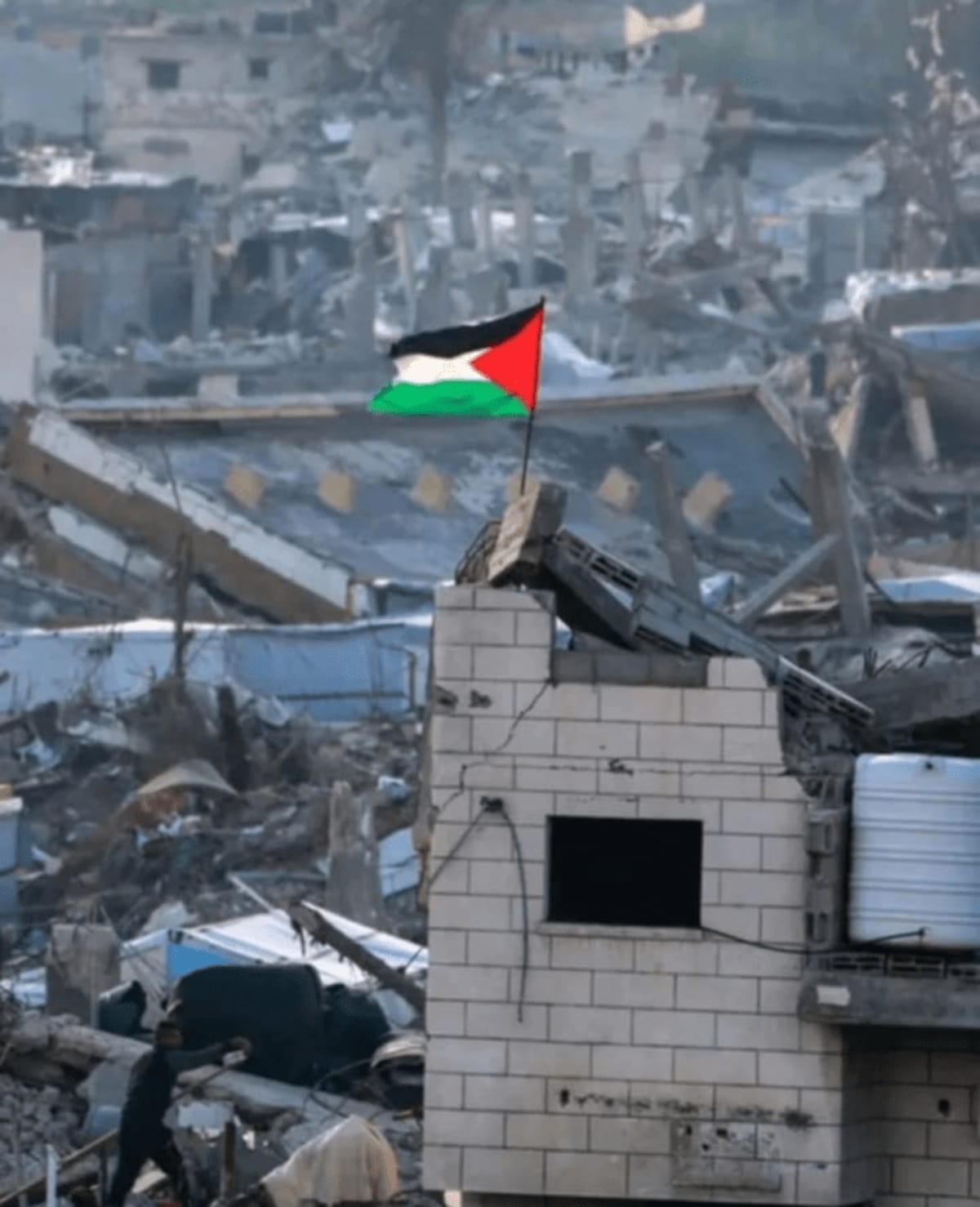 Palestina vencerá