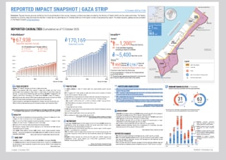 Reported impact snapshot | Gaza Strip (15 October 2025). Resumen del impacto | Franja de Gaza (15 de octubre de 2025). ENG ESP