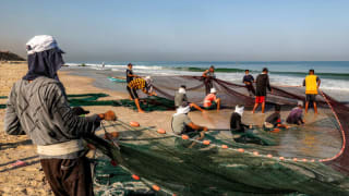 Since 7 October 2023, the Israeli military has killed at least 230 Palestinian fishermen. 230 pescadores palestinos, asesinados desde el 7 de octubre de 2023 ENG ESP