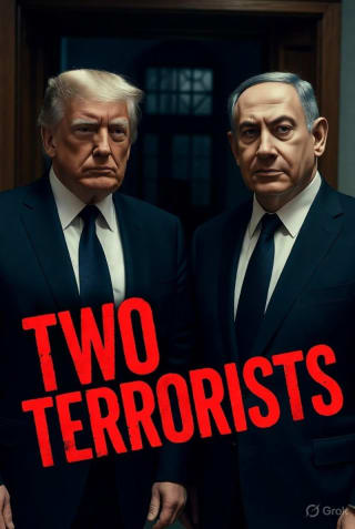 Dos terroristas