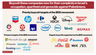 Teva. Priority Boycott Target. Boycott, Divestment and Sanctions (BDS)