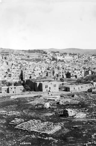 No hay nada más antisemita que el sionismo e Israel Quienes no son semitas pretenden el genocidio de los palestinos, pueblo semita
