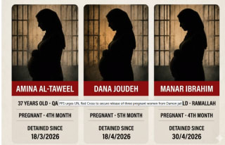 Palestinian women face “catastrophic” conditions at Damon prison. Israel. En la prisión de Damon, condiciones extremas para las prisioneras palestinas. ENG ESP