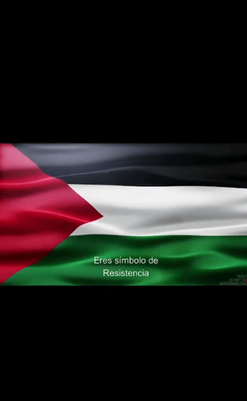 Sunera Sadicali, poema "Tú, Palestina", leído por por Kiran del Olmo, en la manifestación del 2 de marzo de 2024 en Borås, Suecia 