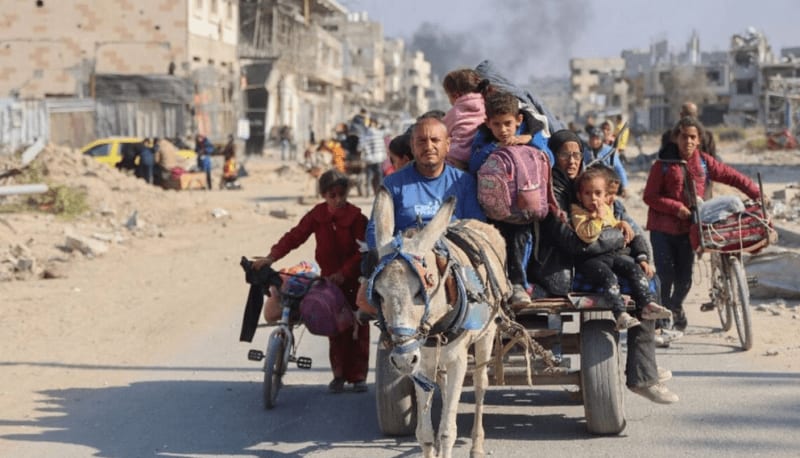 Donkeys, 600. Children, 2. Burros, 600. Niños, 2    ENG ESP