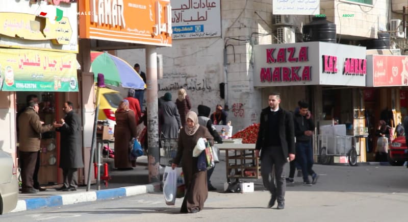 Female Chimeras. Videos. Quimeras femeninas. Vídeos. ENG ESP