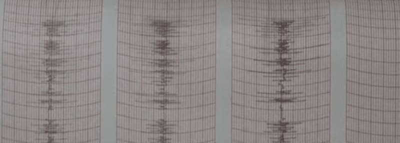 "Netanyahu (o Trump, Lagarde, von der Leyen, etc) está loco" es explicación simple, tranquilizadora !y falsa! “Netanyahu (orTrump, Lagarde, von der Leyen, etc) is crazy” is a reassuring, simple, and false explanation! ENG ESP