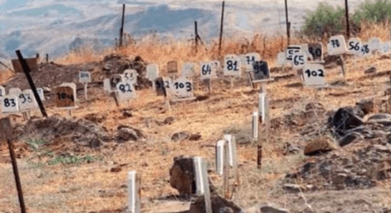 Systematic Palestinian organ theft. Robo sistemático de órganos de palestinos. ENG ESP