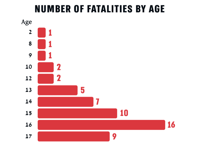 Unshielded Childhood: 54 Palestinian children and teenagers killed by Israel in the West Bank in 2025. Infancia inerme. 54 niños-adolescentes asesinados en 2025 en Cisjordania. ENG ESP