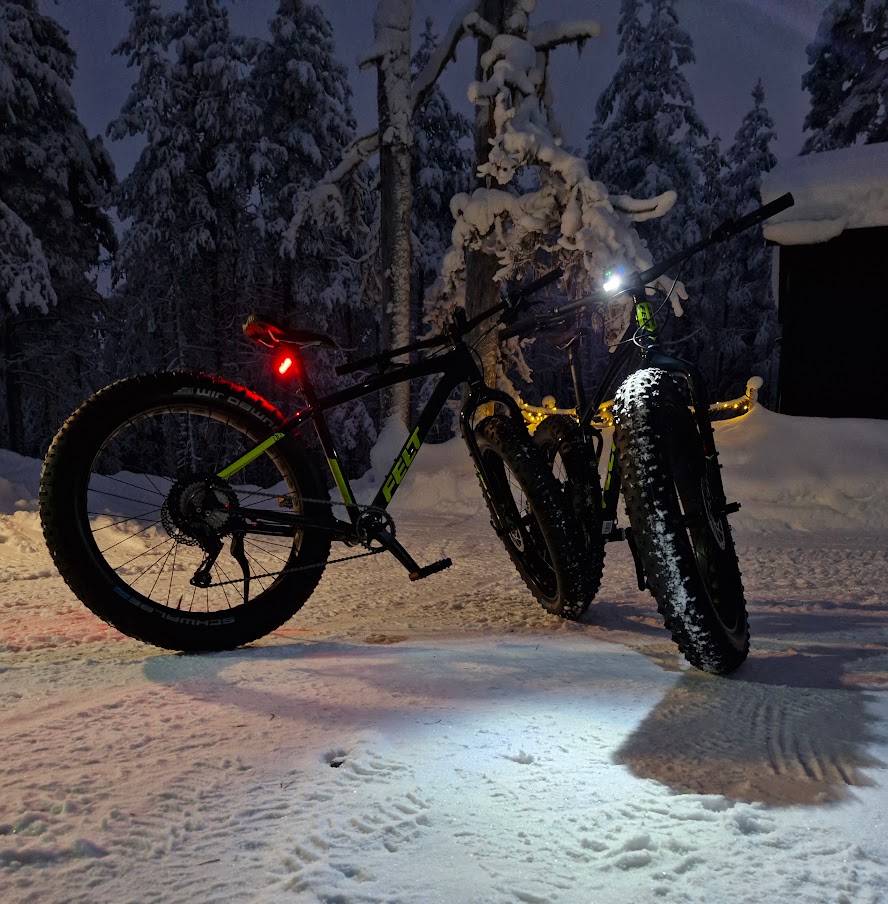 Fat biking in winter forest