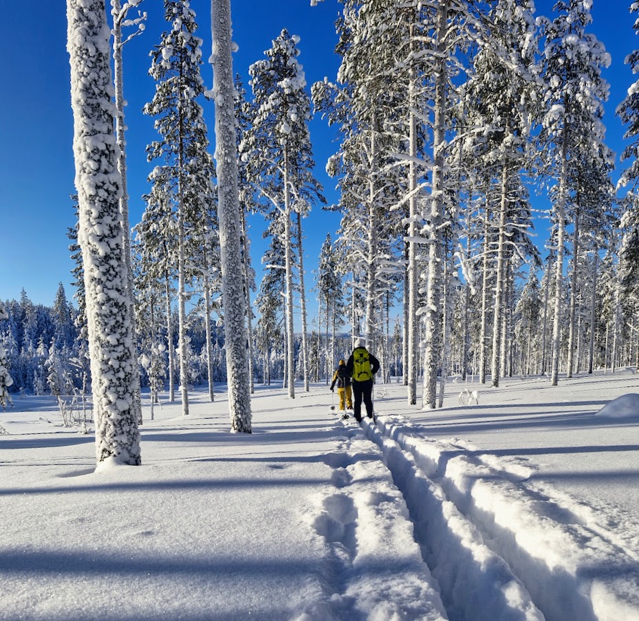 Snowshoeing in Lapland