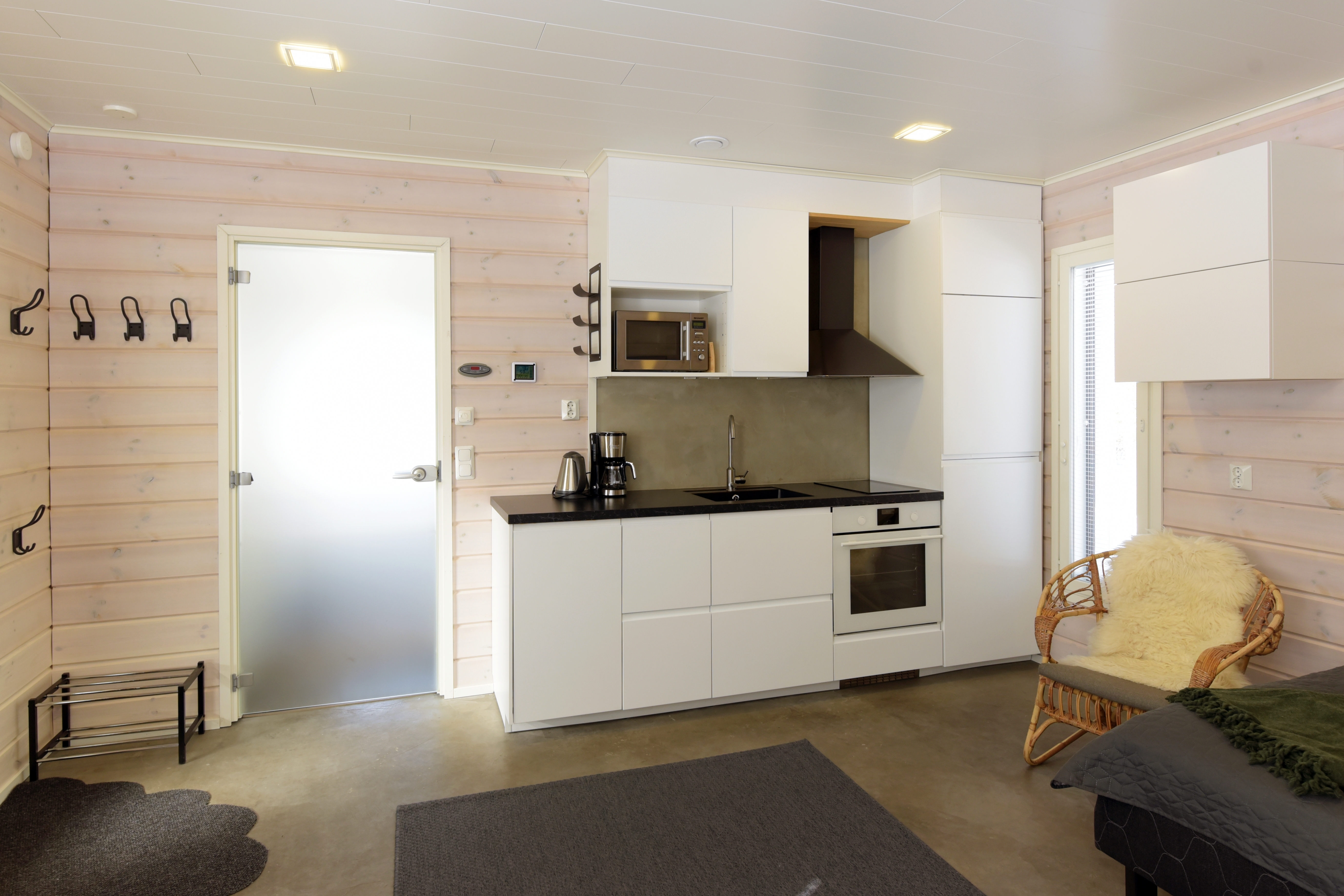 Cabin kitchen and living area